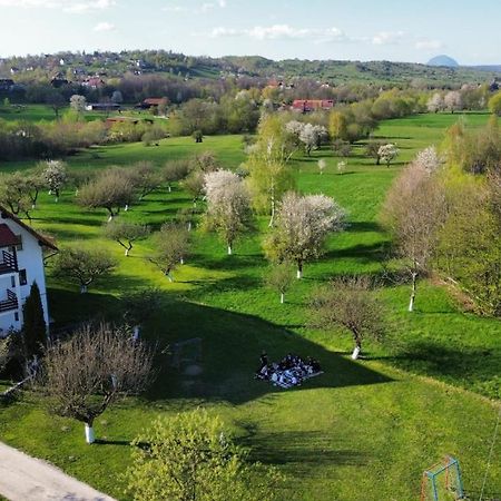 برانْ Pensiunea Din Livada المظهر الخارجي الصورة