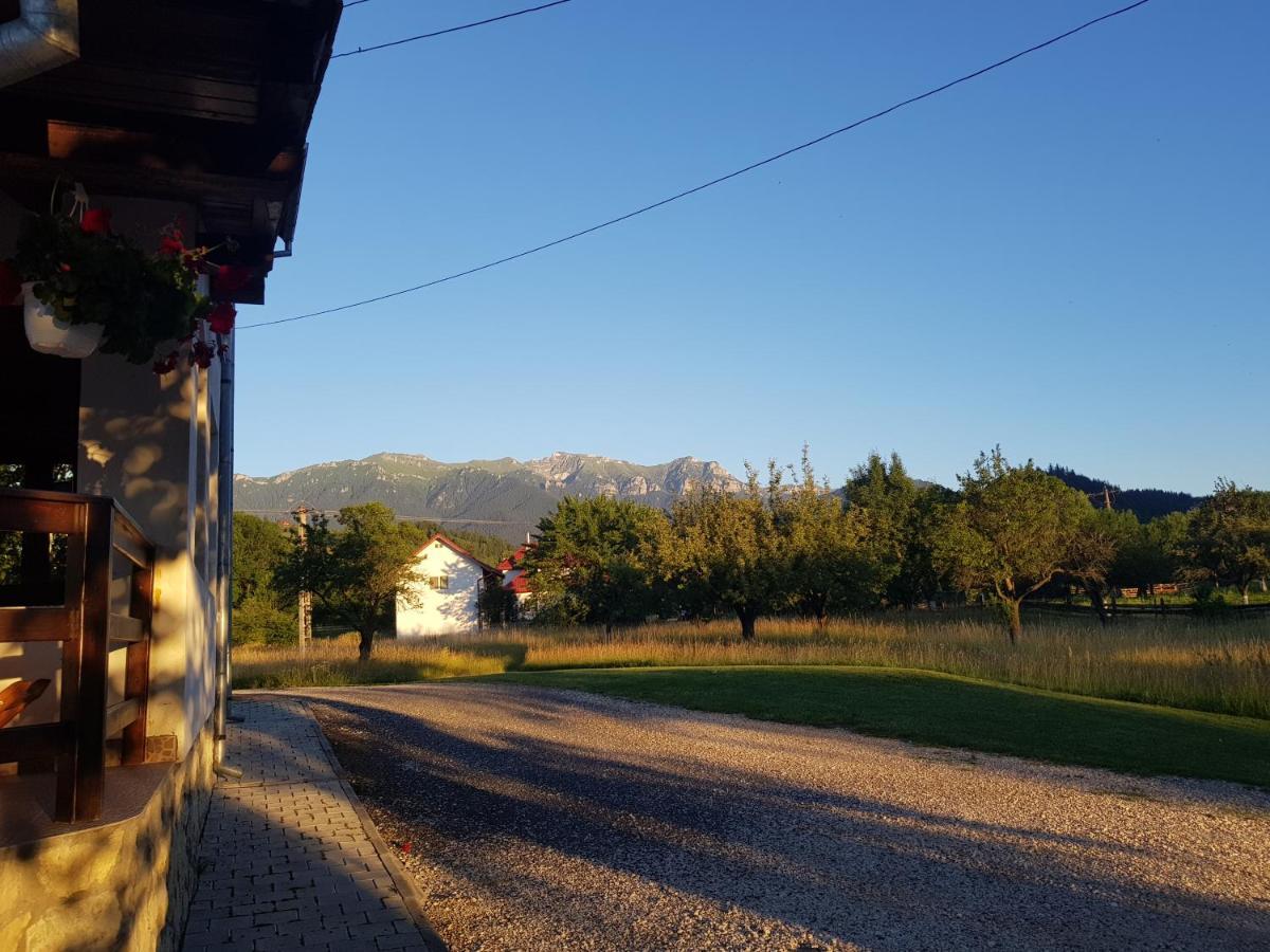 برانْ Pensiunea Din Livada المظهر الخارجي الصورة