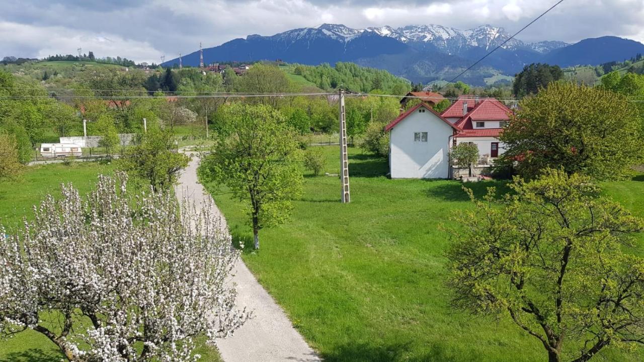 برانْ Pensiunea Din Livada المظهر الخارجي الصورة