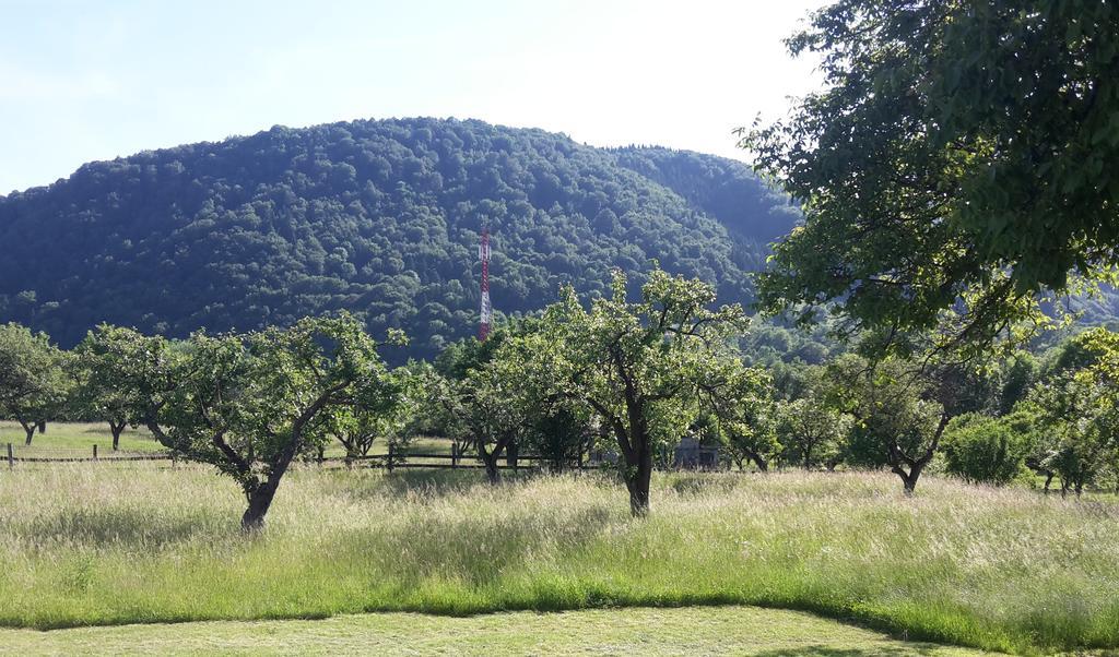 برانْ Pensiunea Din Livada المظهر الخارجي الصورة